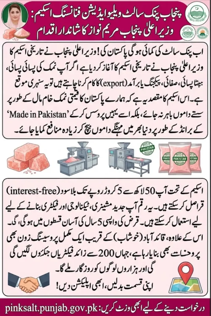 Punjab Pink Salt Value Addition Financing Scheme Opens Online Applications Full Eligibility & Apply Guide