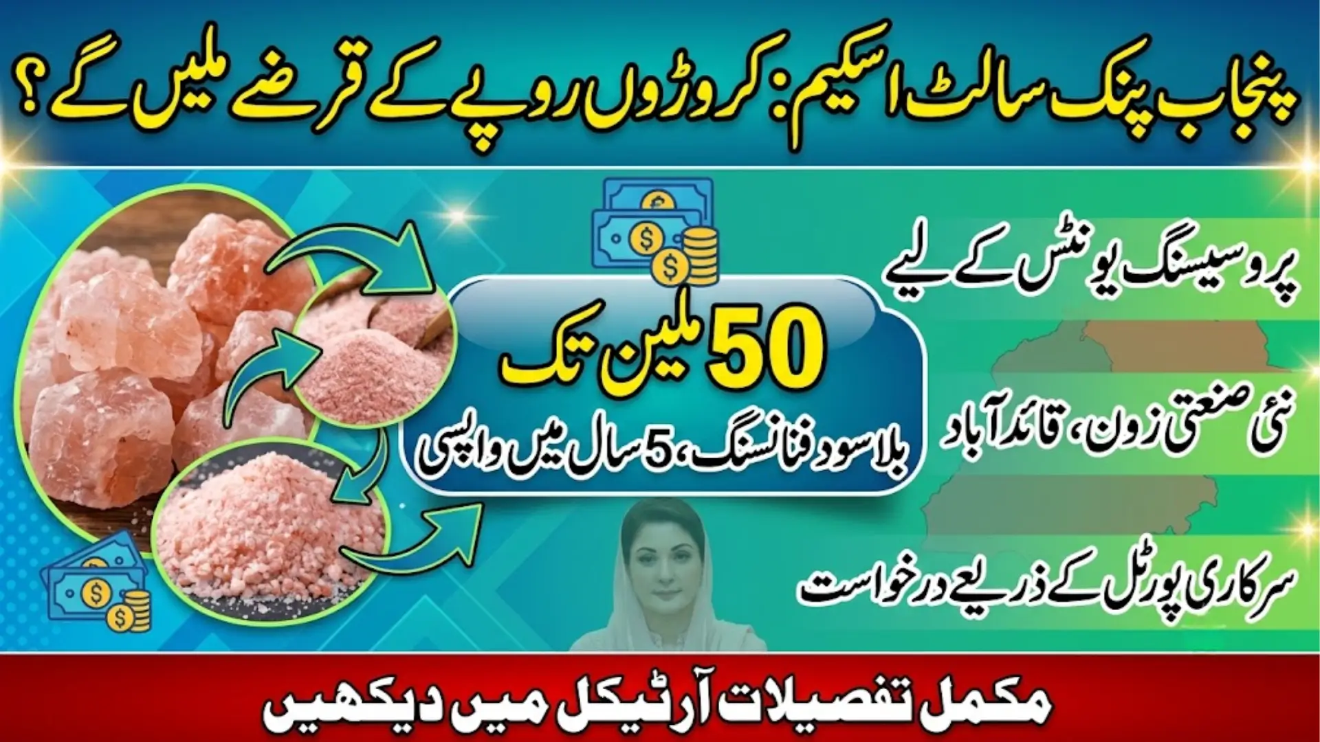 Punjab Pink Salt Value Addition Financing Scheme Opens Online Applications Full Eligibility & Apply Guide